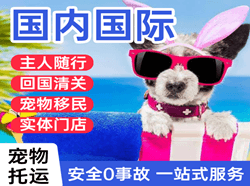 花果山航空运输国际宠物托运 【国